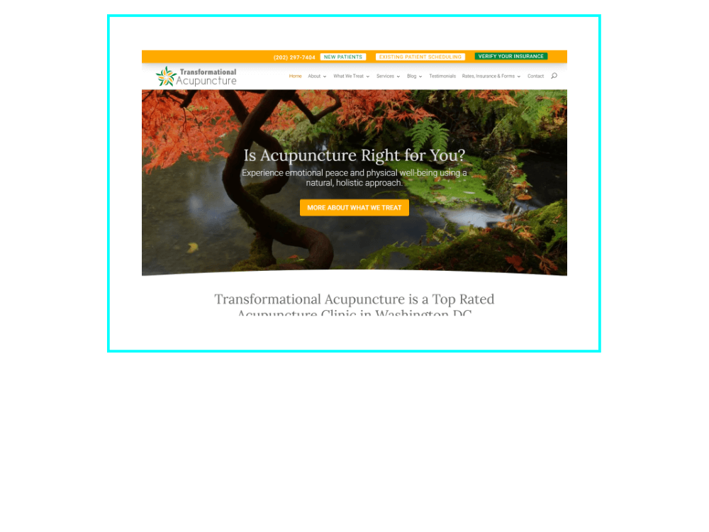 Screenshot of Screenshot of Transformational Acupuncuture