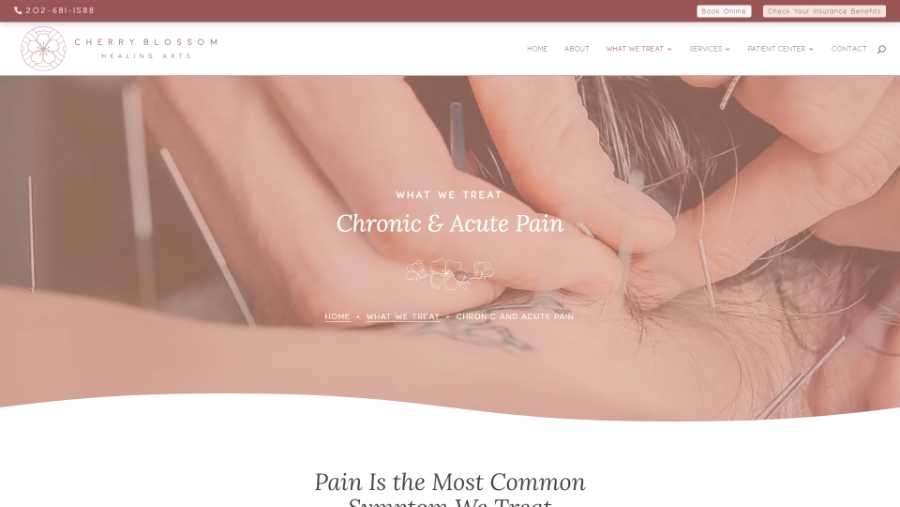 Cherry Blossom Healing Arts - desktop screenshot - chronic pain - 1
