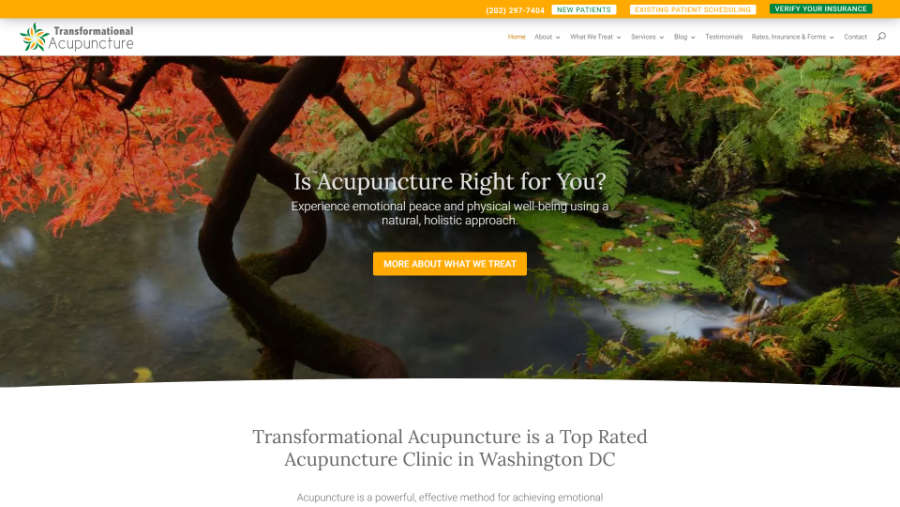 Transformational Acupuncture - - Desktop screenshot 