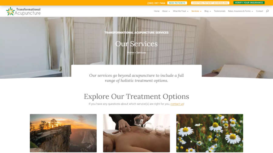 Transformational Acupuncture - - Desktop screenshot