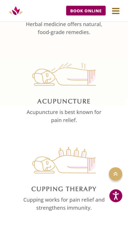Mobile screenshot of Nicole McLaughlin Acupuncture - Home page - services