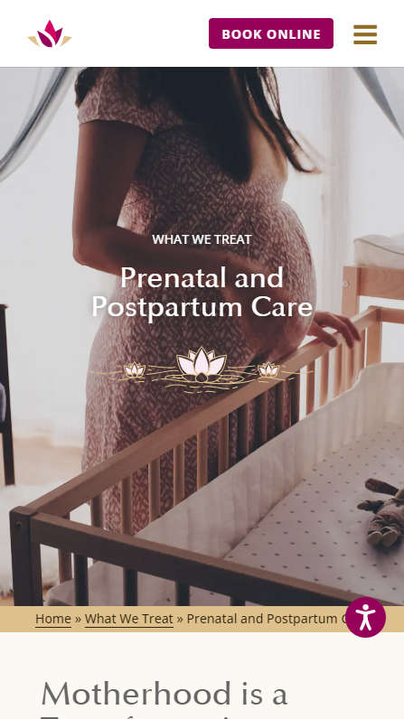 Mobile screenshot of Nicole McLaughlin Acupuncture - Prenatal Care page - splash header
