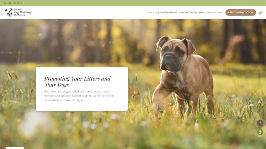 Desktop screenshot of Trunkey Dog Breeding Websites' home page - Promoting Your Litters and Dogs