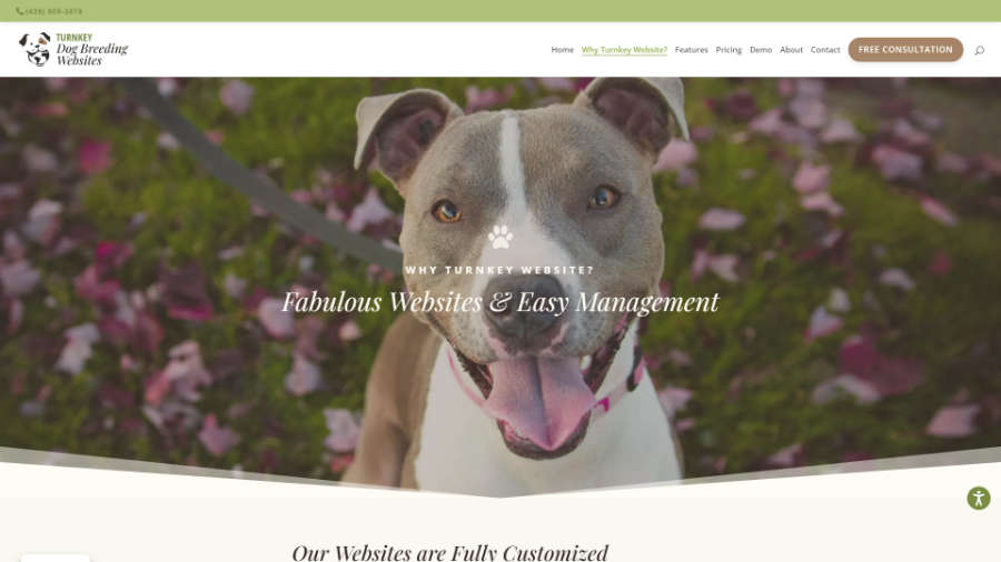 Desktop screenshot of Trunkey Dog Breeding Websites' Why Turnkey Websites page splash header